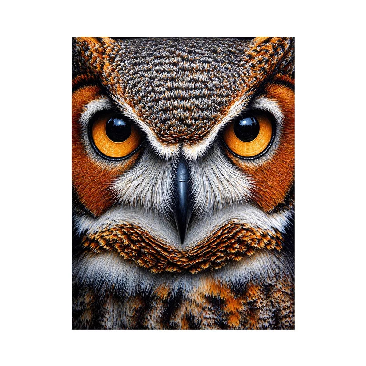 owl close up portrait intense eyes wildlife canvas Canvas Print