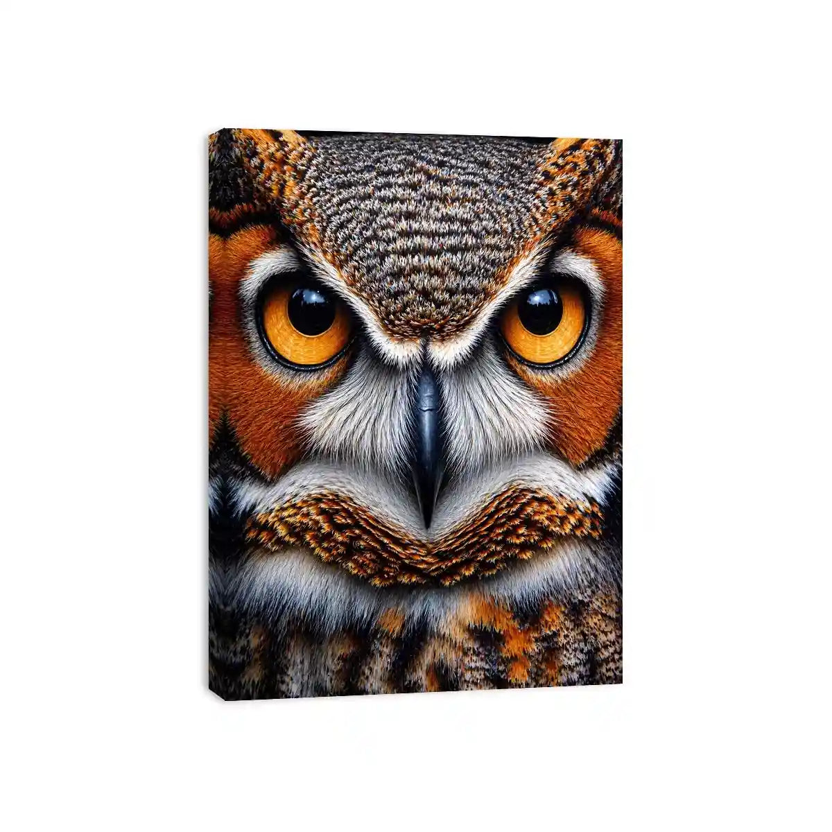 owl close up portrait intense eyes wildlife canvas Canvas Print