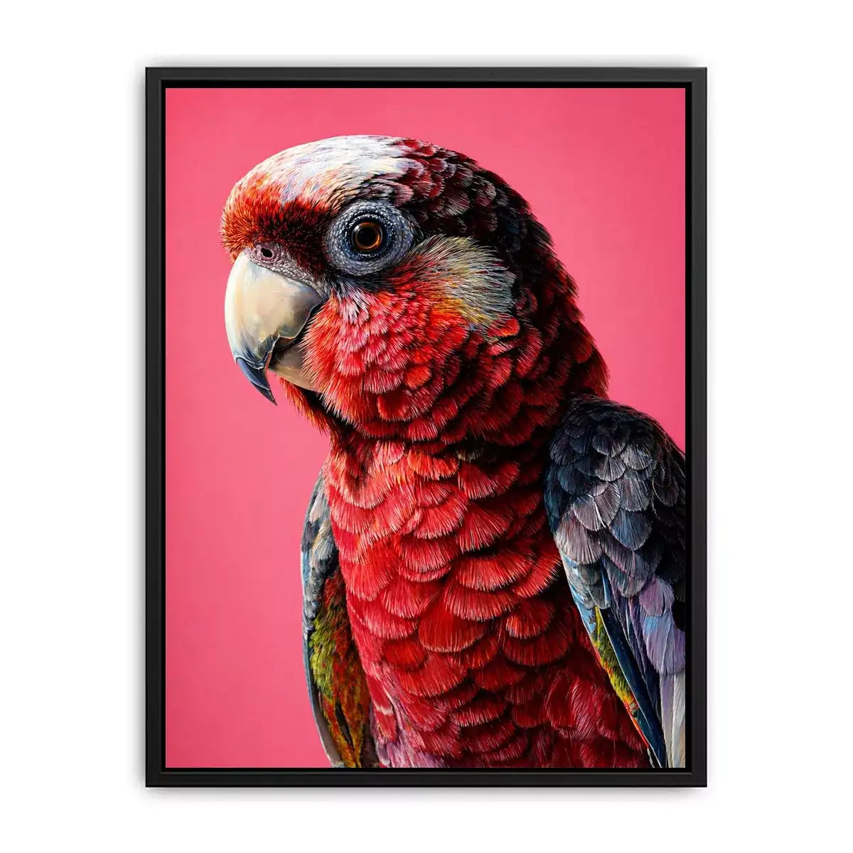 modern parrot portrait Canvas Print vibrant red bird canvas tropical decor