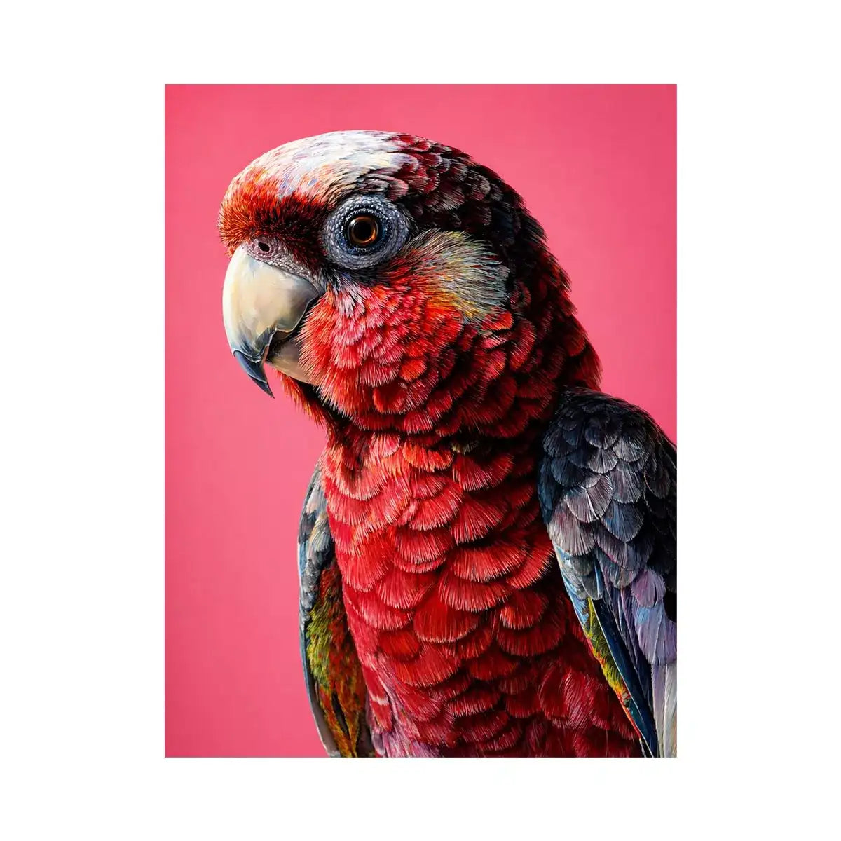 modern parrot portrait Canvas Print vibrant red bird canvas tropical decor