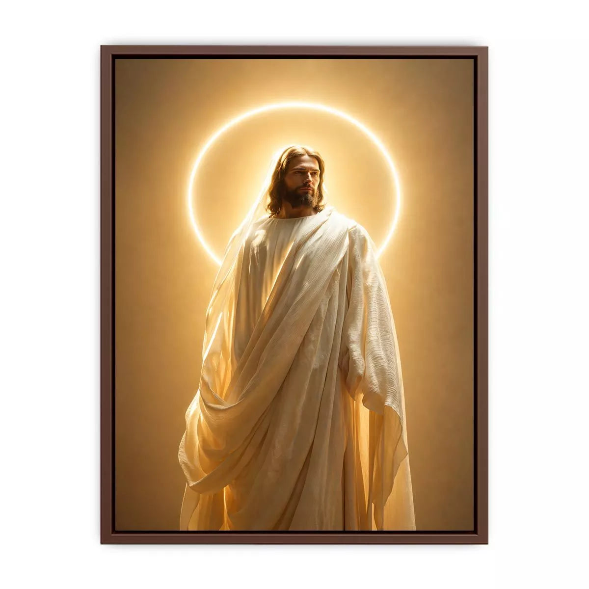 Jesus Divine Light Canvas Canvas Print