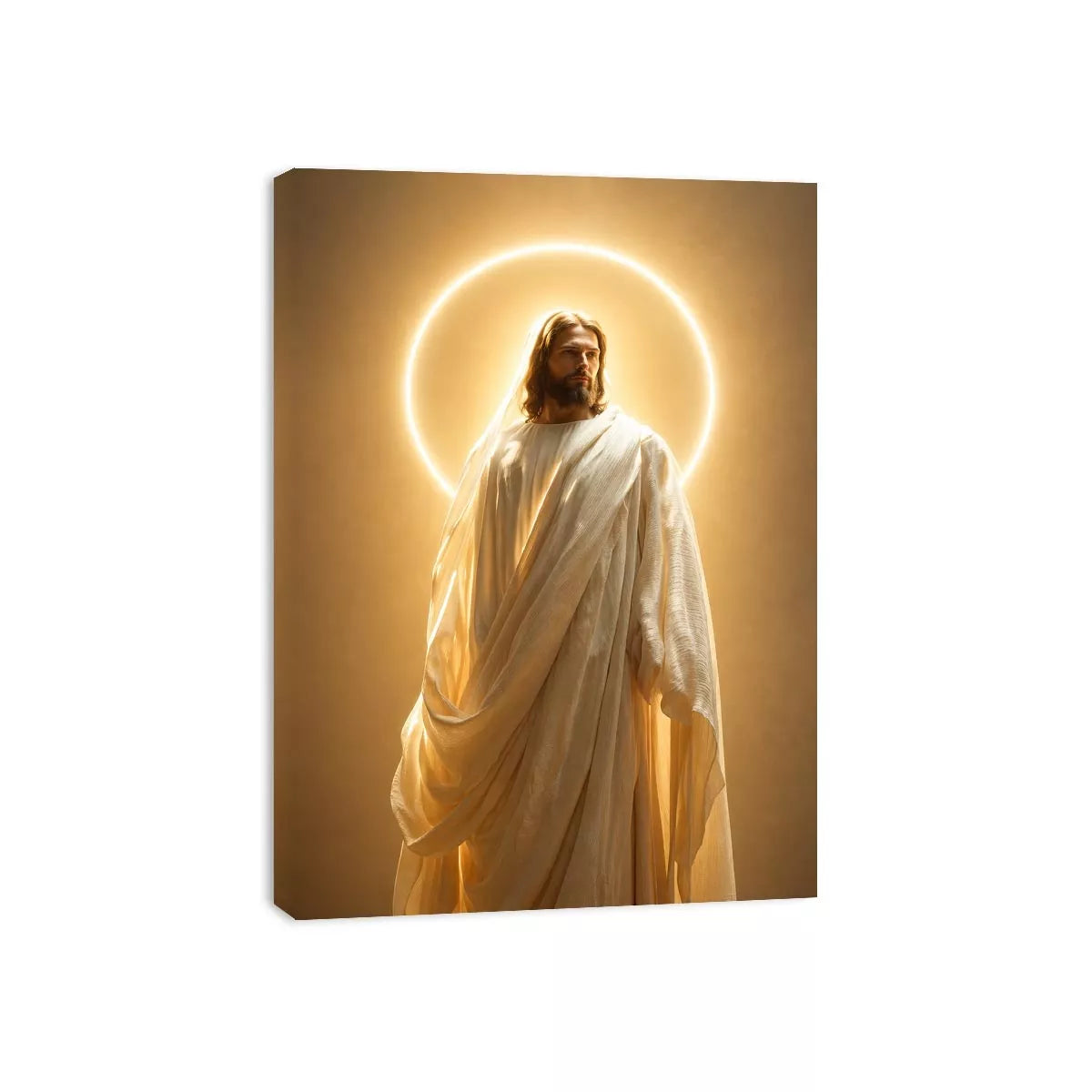 Jesus Divine Light Canvas Canvas Print