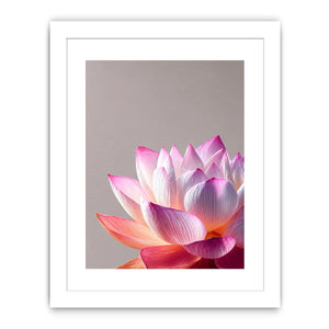 Minimalist pink lotus flower Canvas Print soft pastel floral canvas serene decor