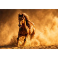 running horse desert dust golden light powerful animal Canvas Print canvas