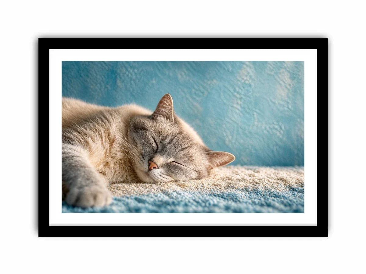 sleeping cat soft pastel cozy pet Canvas Print calm home decor canvas