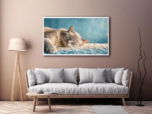 Dreaming Whiskers