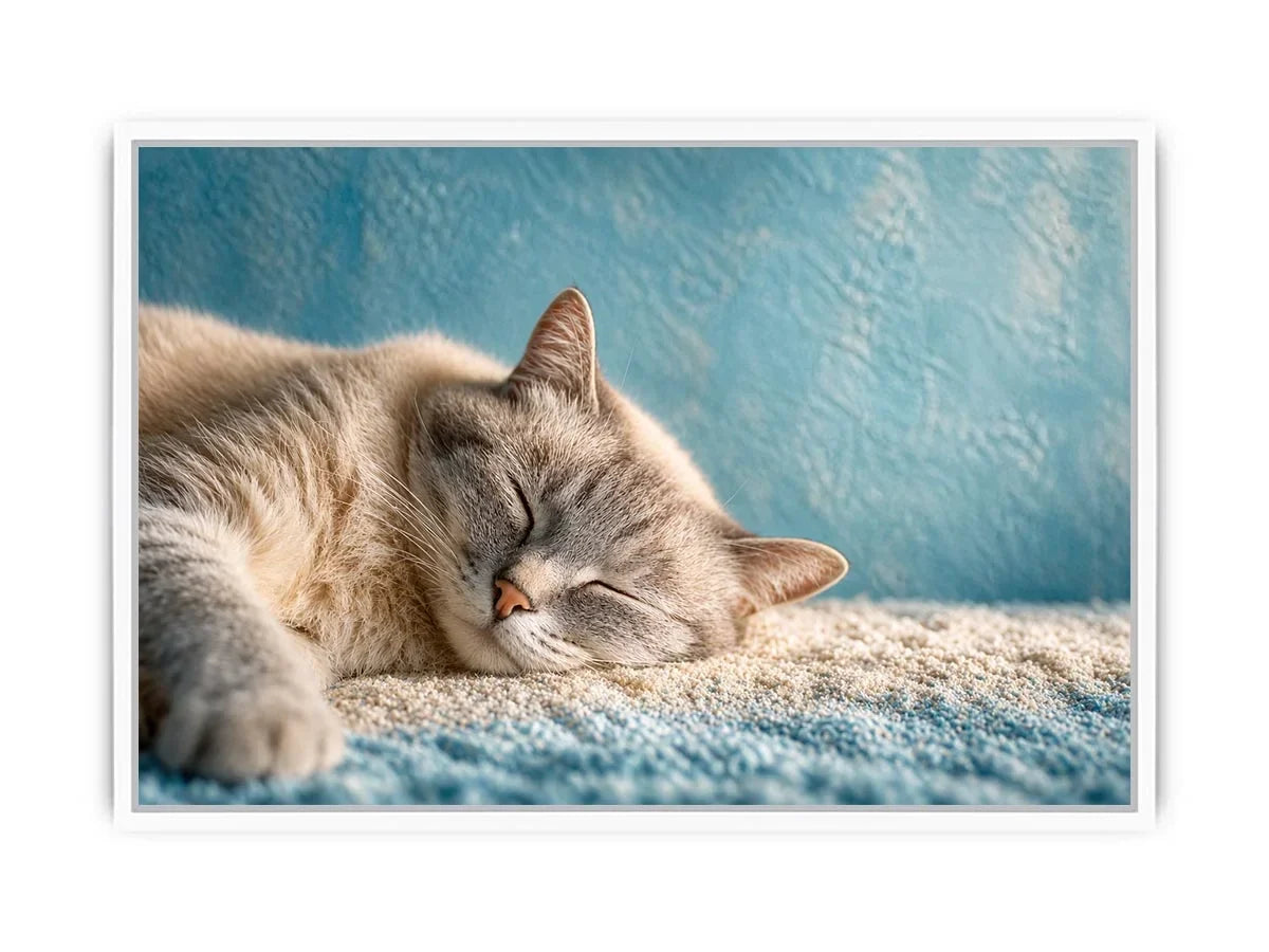 sleeping cat soft pastel cozy pet Canvas Print calm home decor canvas