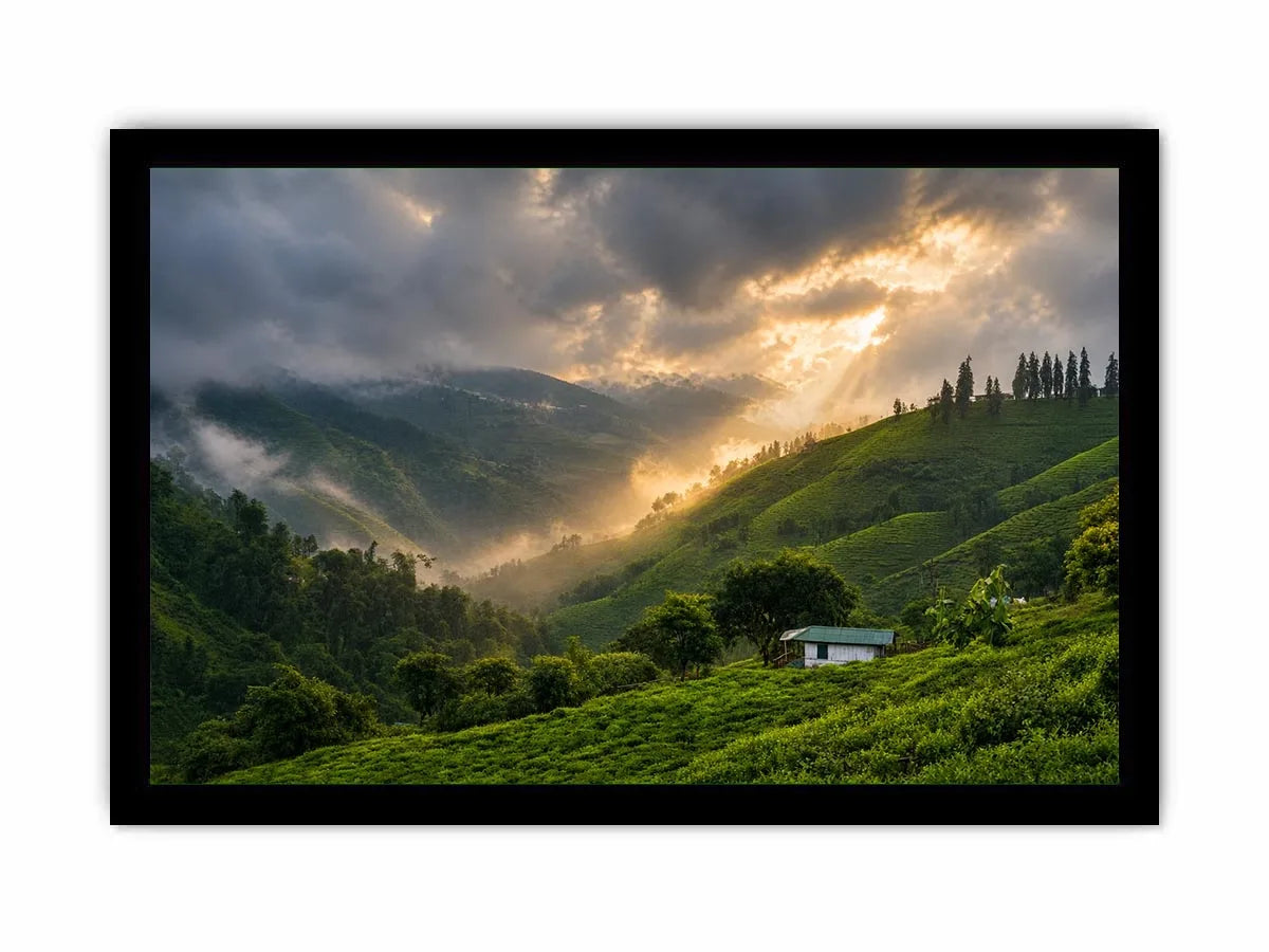 misty green hills landscape fog valley nature Canvas Print peaceful countryside canvas