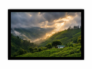 misty green hills landscape fog valley nature Canvas Print peaceful countryside canvas