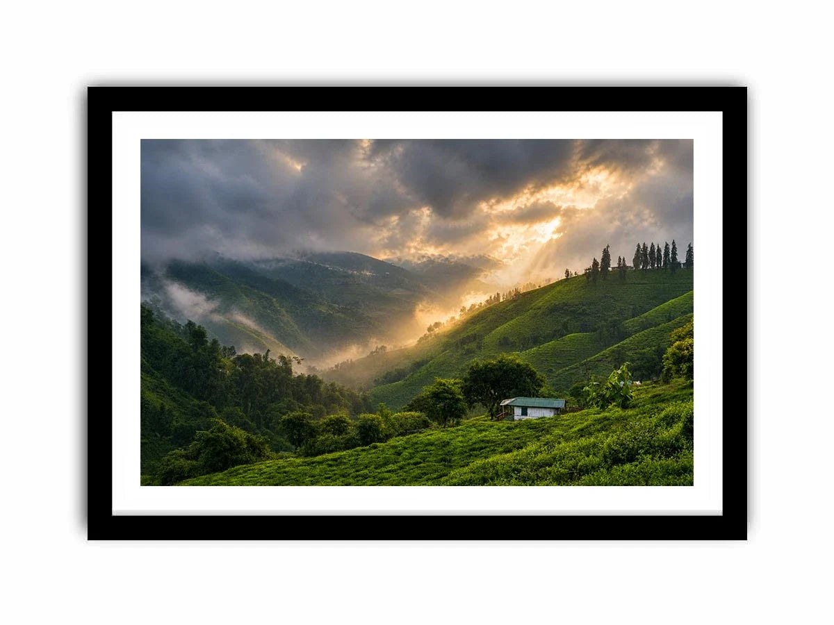 misty green hills landscape fog valley nature Canvas Print peaceful countryside canvas
