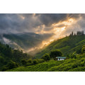 misty green hills landscape fog valley nature Canvas Print peaceful countryside canvas