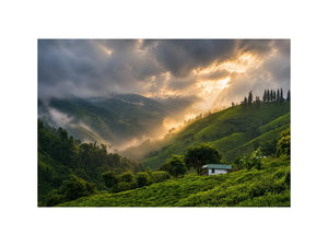 misty green hills landscape fog valley nature Canvas Print peaceful countryside canvas