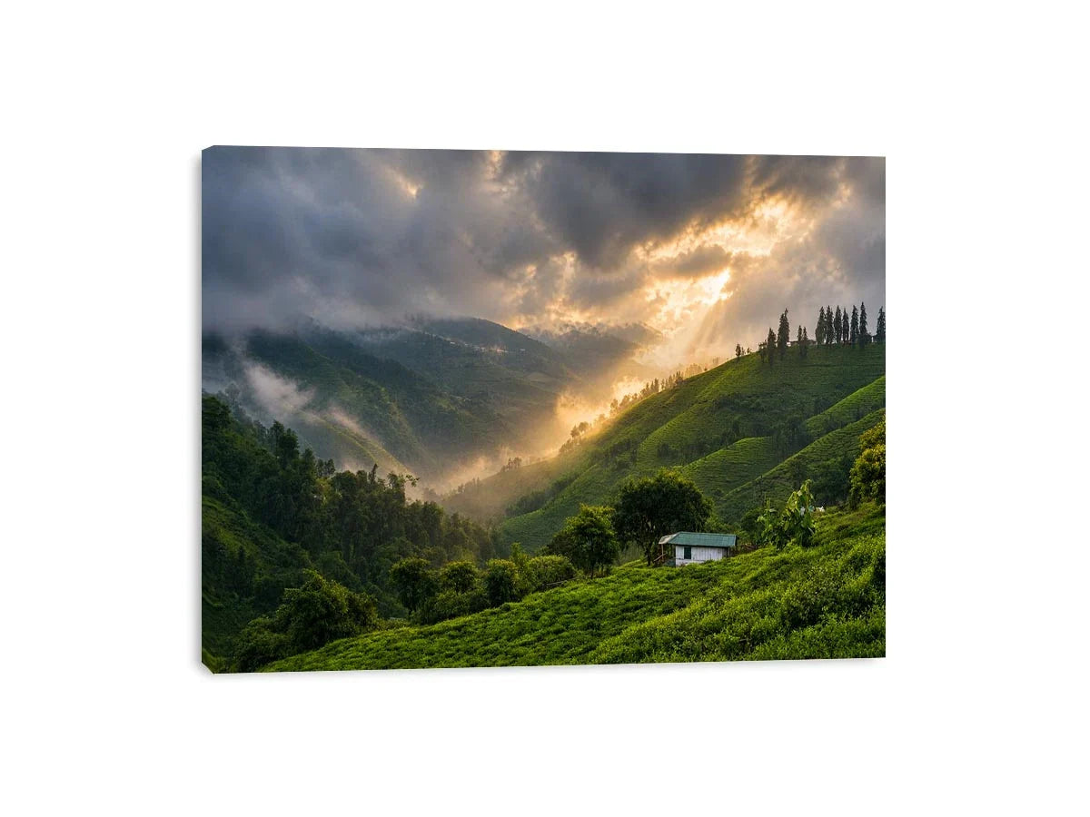 misty green hills landscape fog valley nature Canvas Print peaceful countryside canvas