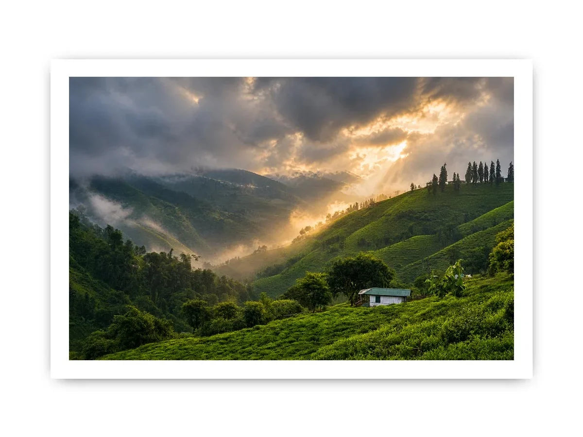 misty green hills landscape fog valley nature Canvas Print peaceful countryside canvas