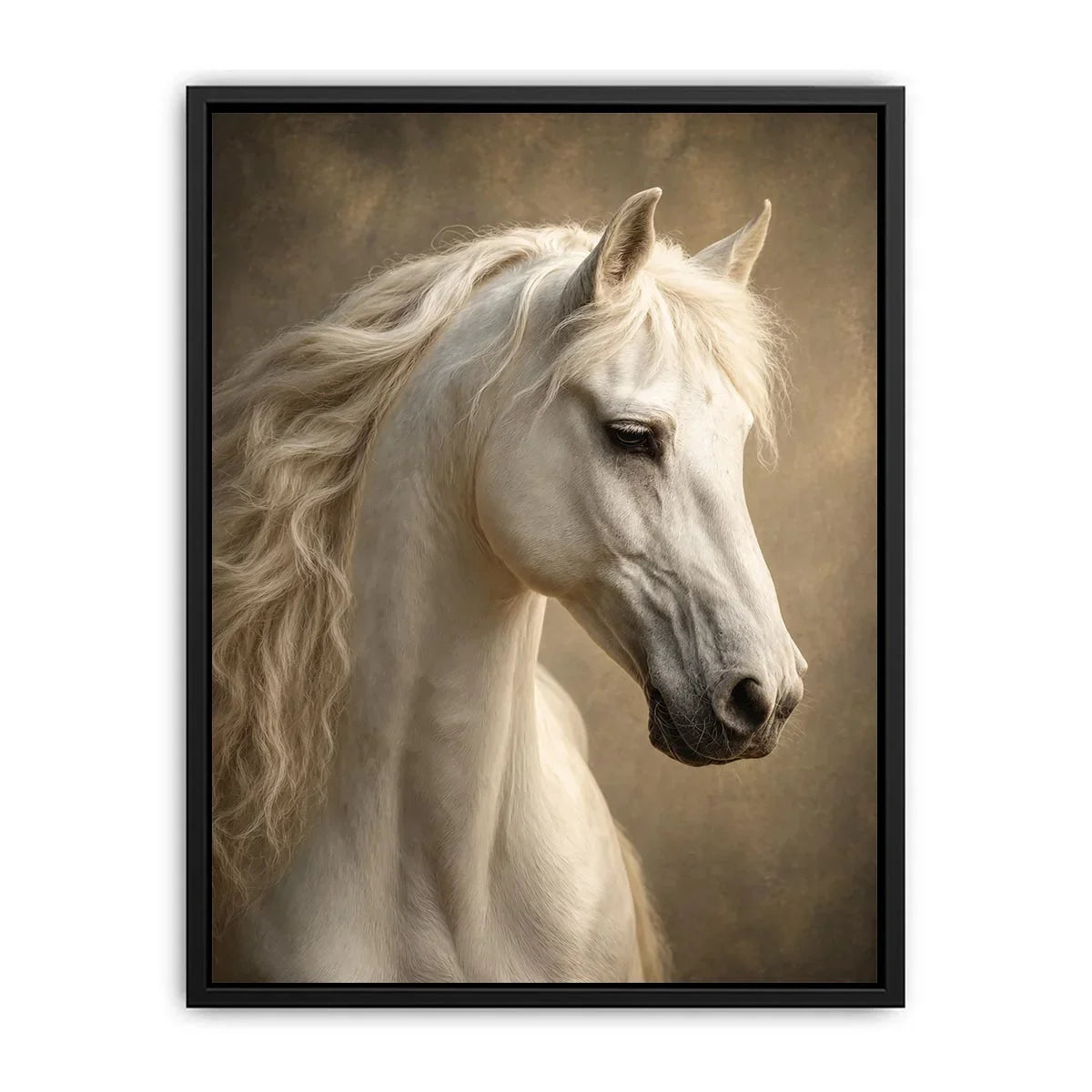 white horse portrait neutral tones elegant animal Canvas Print canvas decor