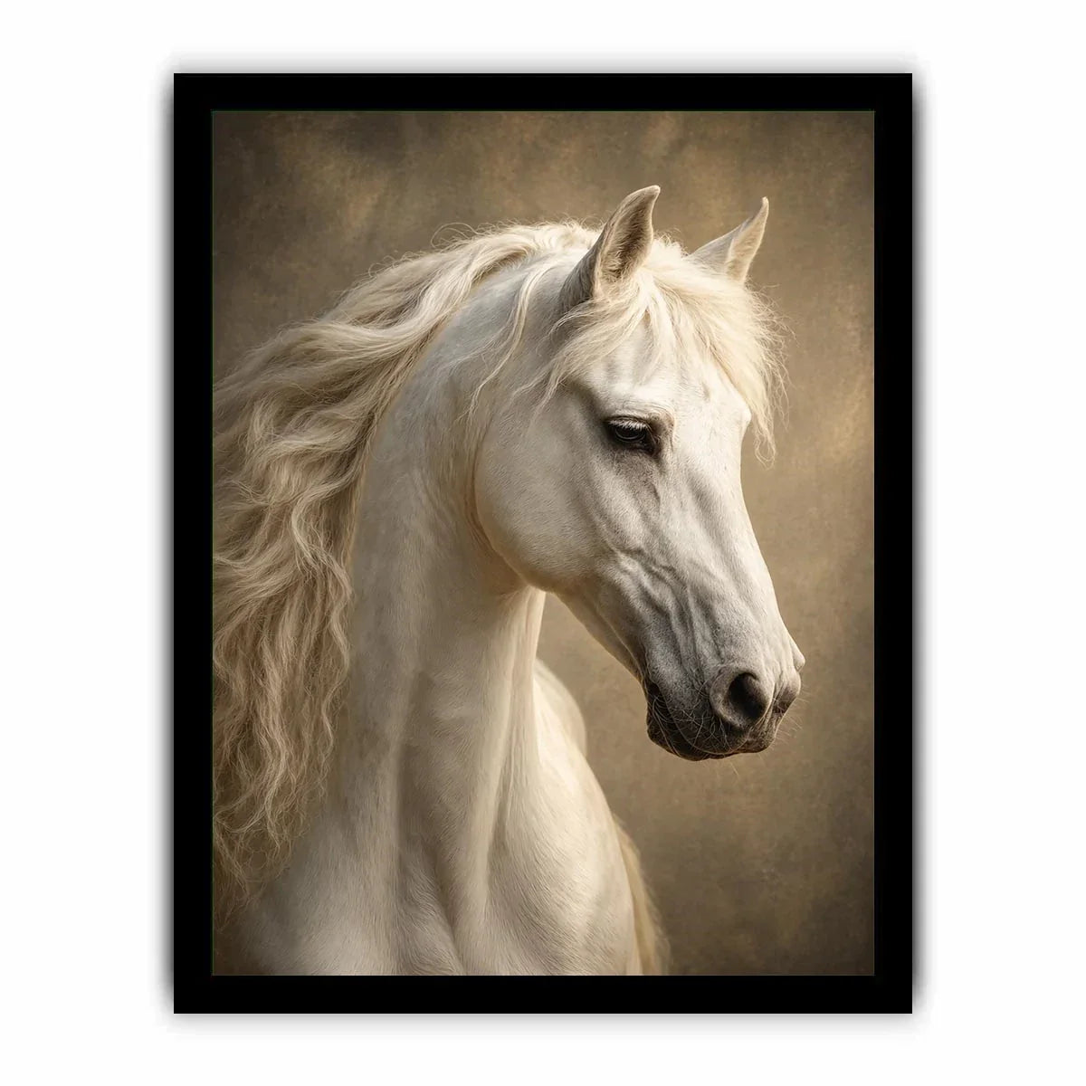 white horse portrait neutral tones elegant animal Canvas Print canvas decor