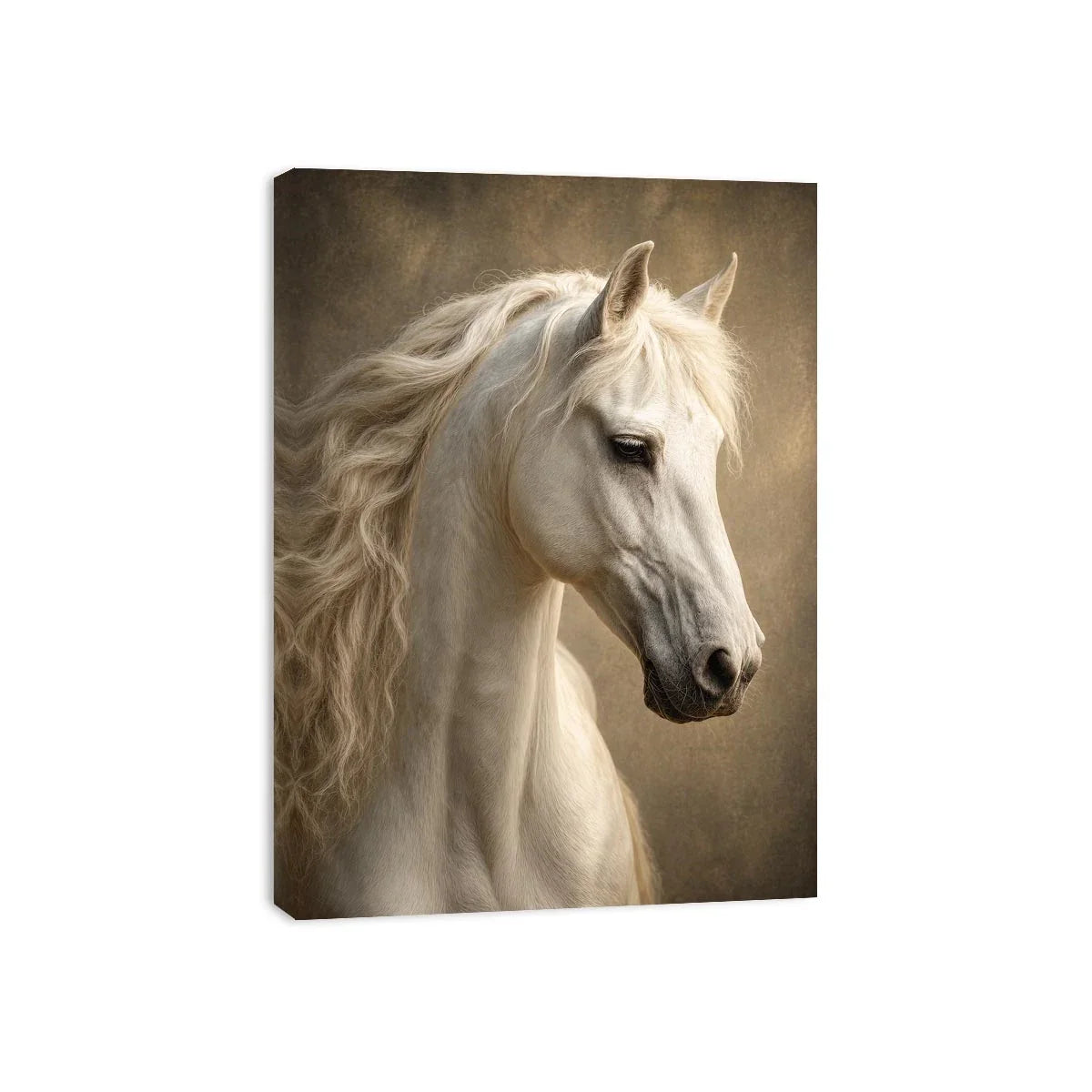 white horse portrait neutral tones elegant animal Canvas Print canvas decor