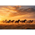 running horses herd desert sunset dust wildlife Canvas Print canvas decor