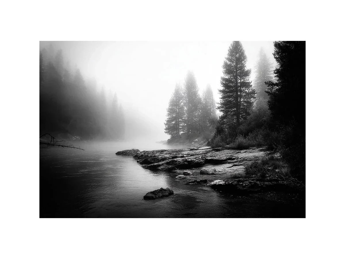 Silent Mist Waters black and white misty forest lake wall art with pine trees and foggy waters minimalist nature landscape ca
