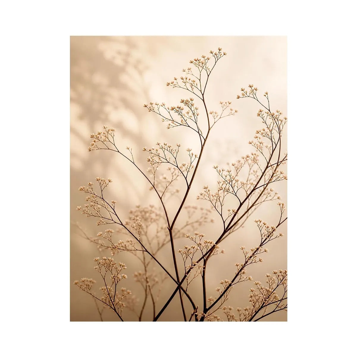 whispered bloom ont603 