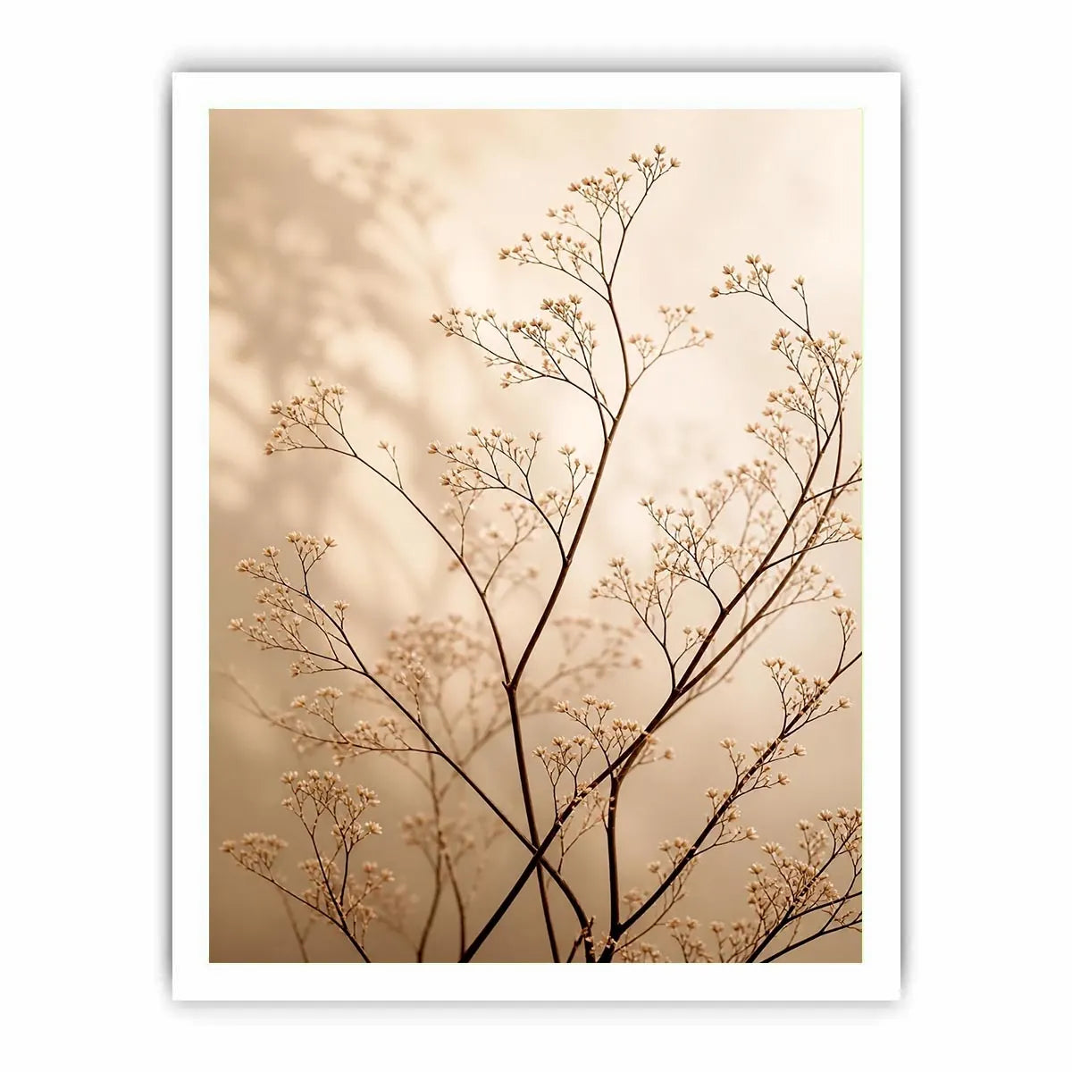 whispered bloom ont603 