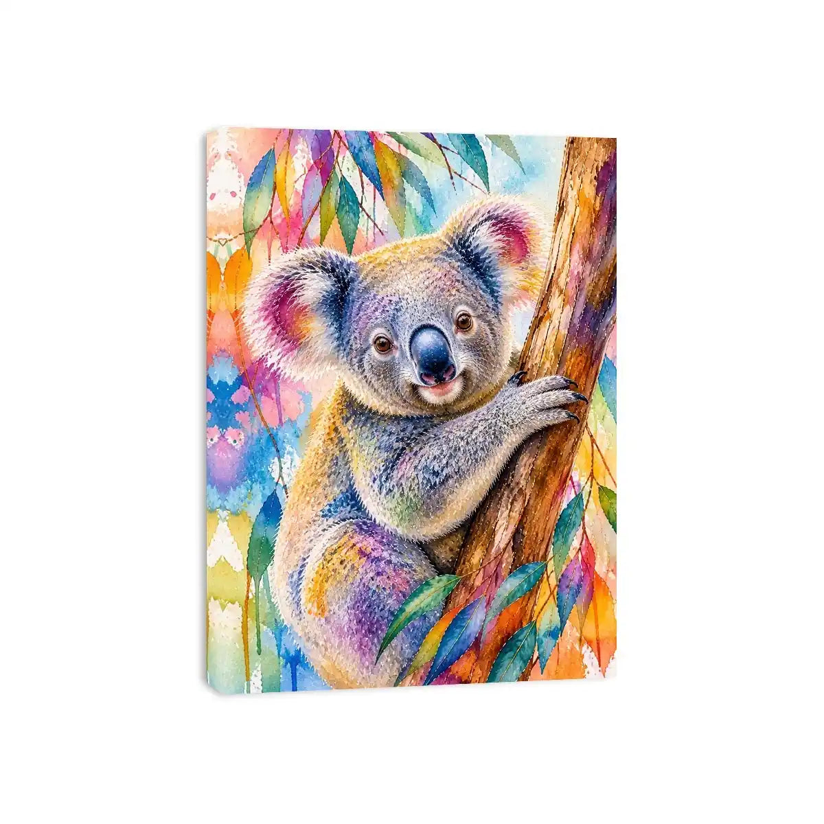 rainbow eucalyptus dream ont621 