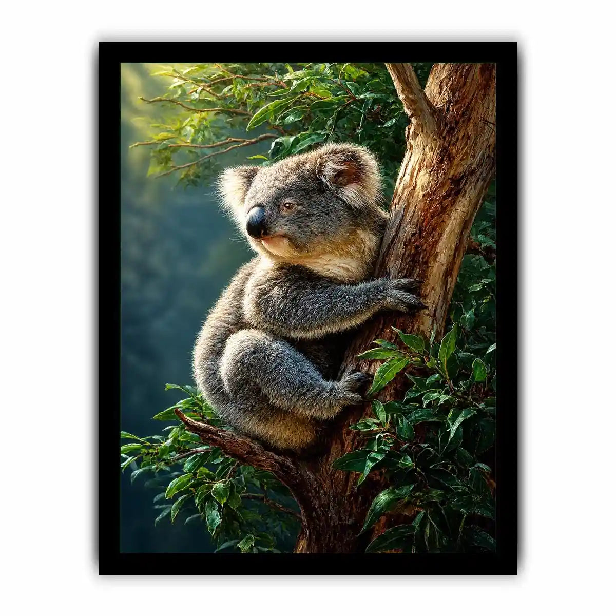 forest haven koala ont624 