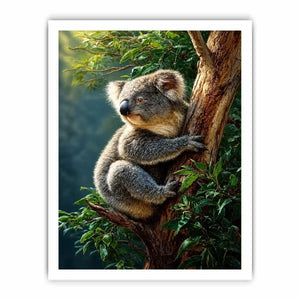 forest haven koala ont624 