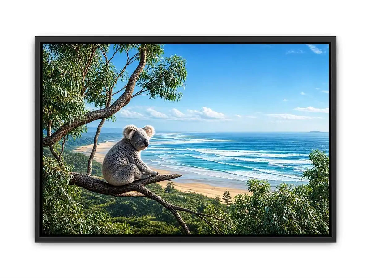 coastal dream koala ont625 