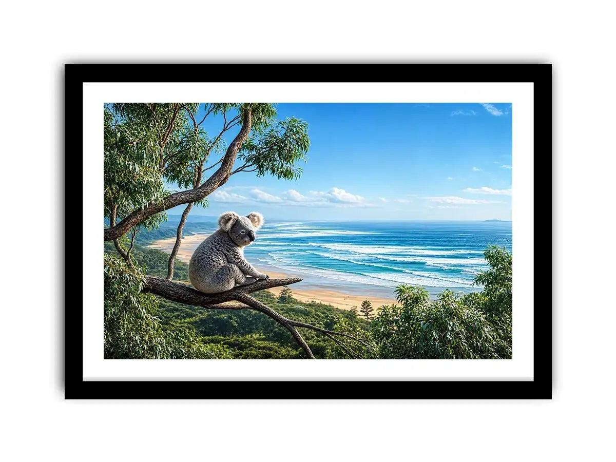 coastal dream koala ont625 