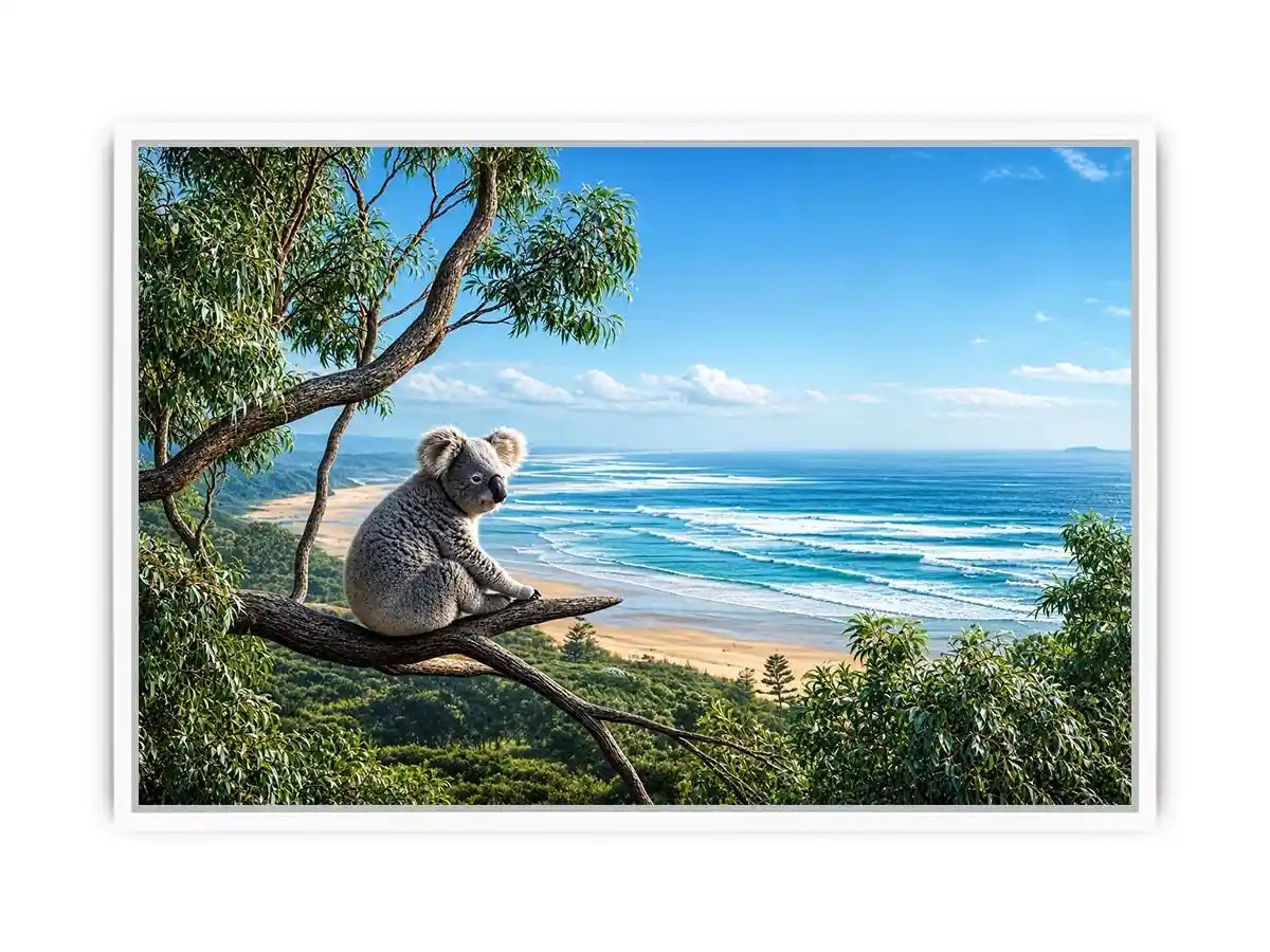coastal dream koala ont625 