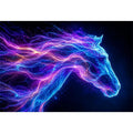 cosmic horse neon canvas wall art ont640 