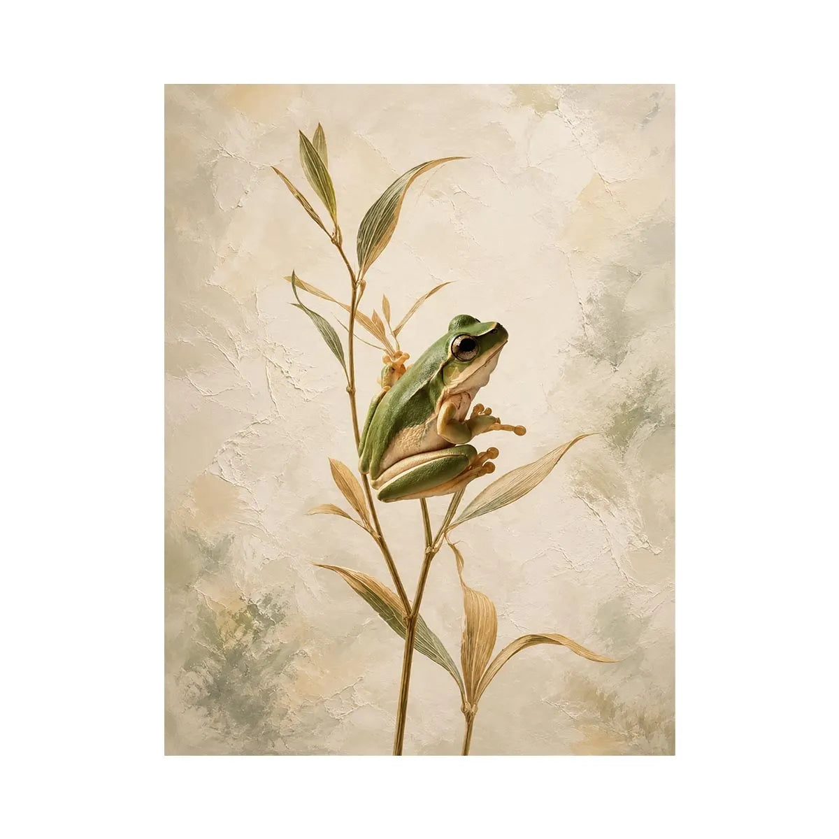 botanical frog serenity minimalist nature wall art.jpg