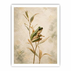 botanical frog serenity minimalist nature wall art.jpg