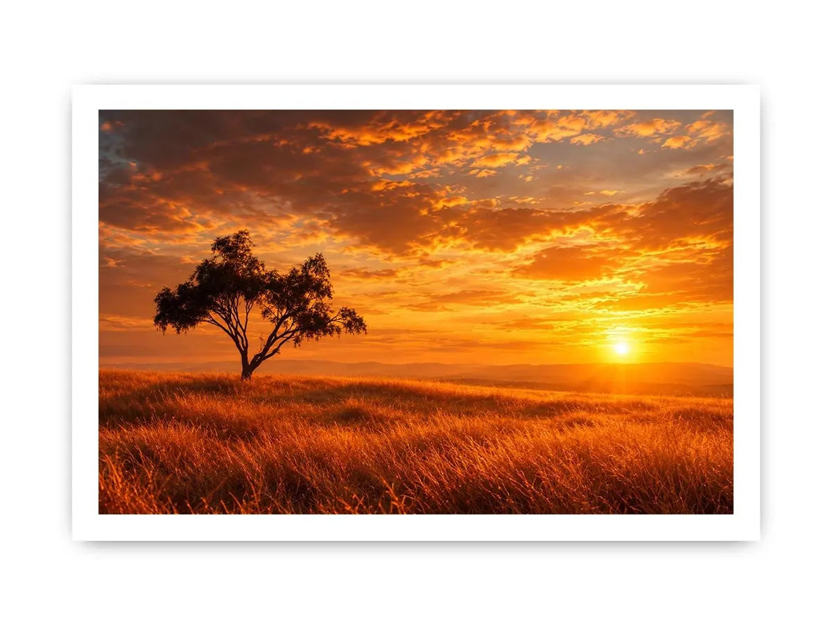   lone tree sunset landscape canvas print