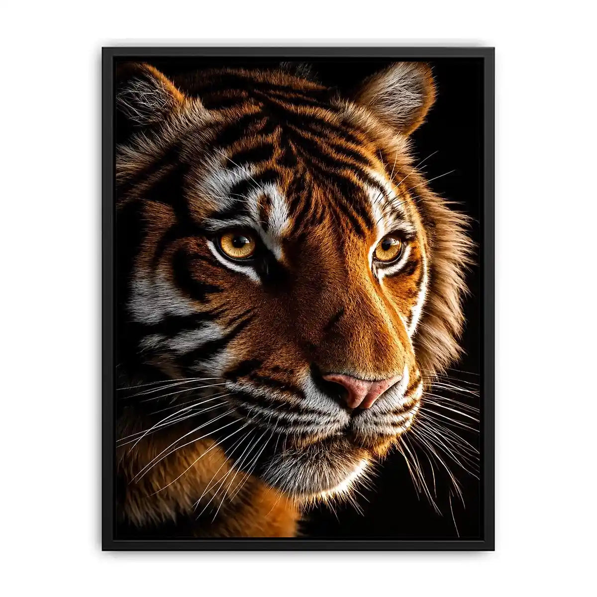   dramatic tiger portrait canvas art