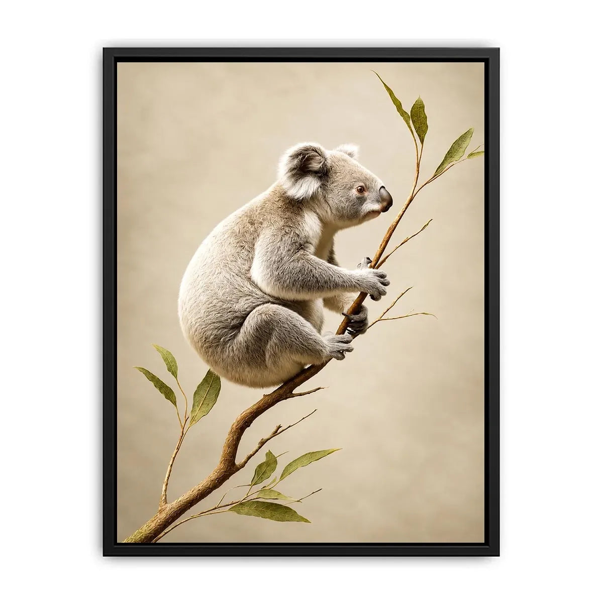   ivory koala canvas art nursery