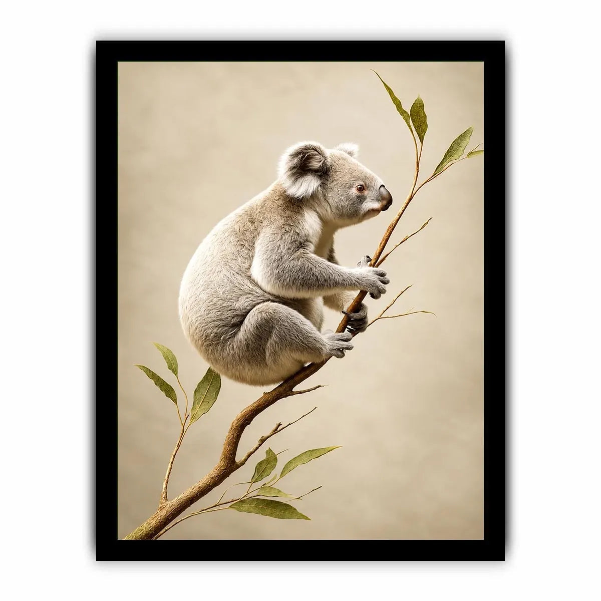   ivory koala canvas art nursery