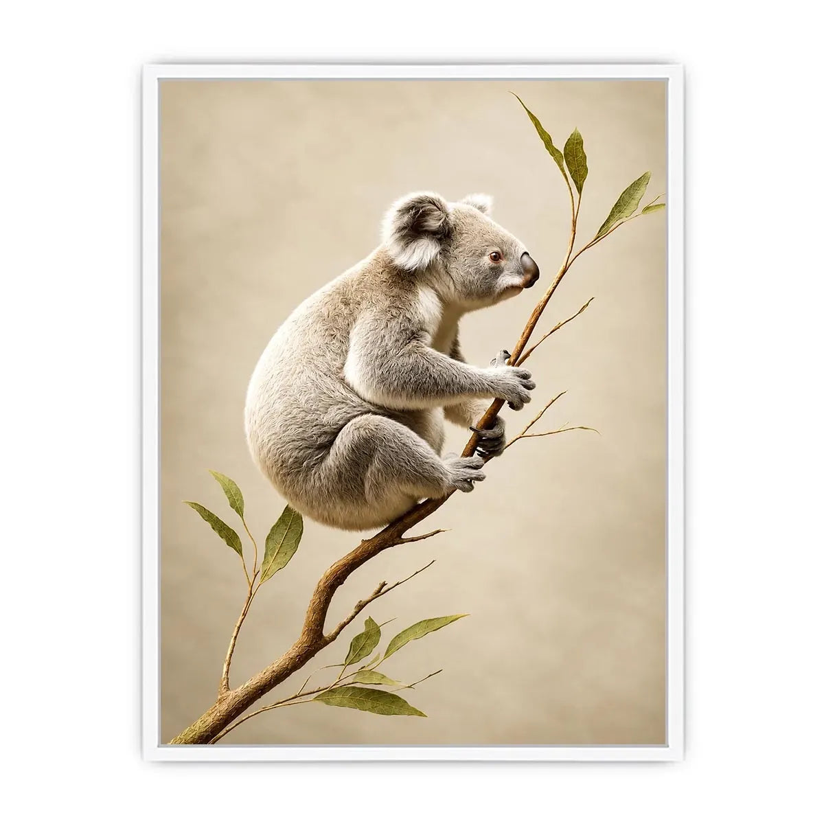   ivory koala canvas art nursery