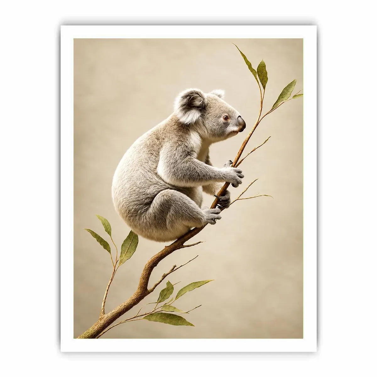   ivory koala canvas art nursery