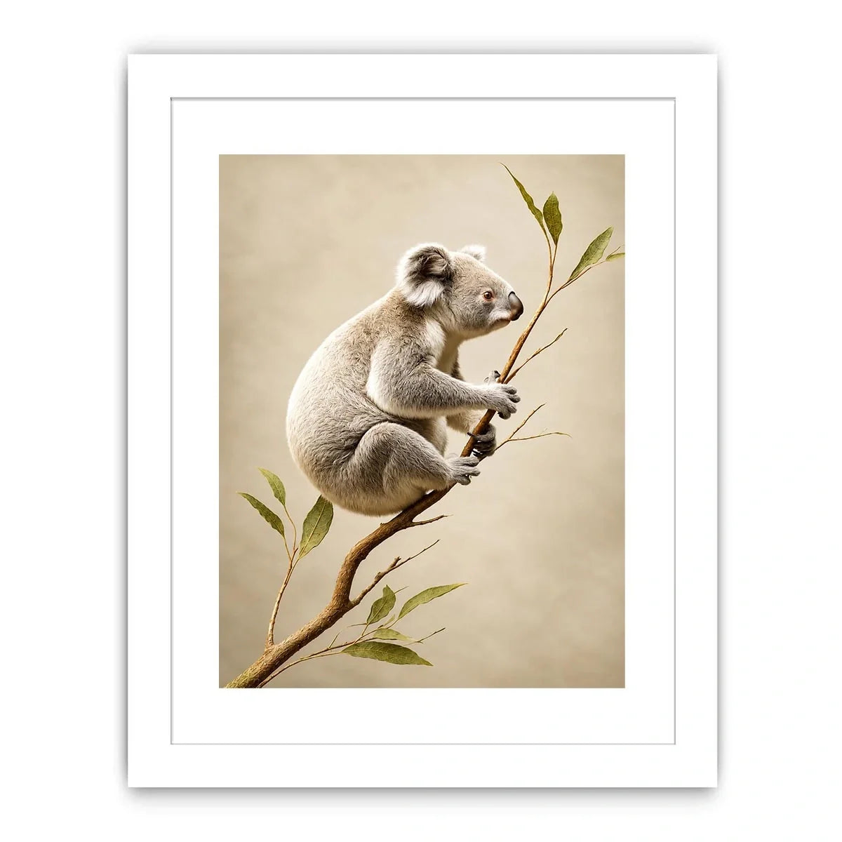   ivory koala canvas art nursery