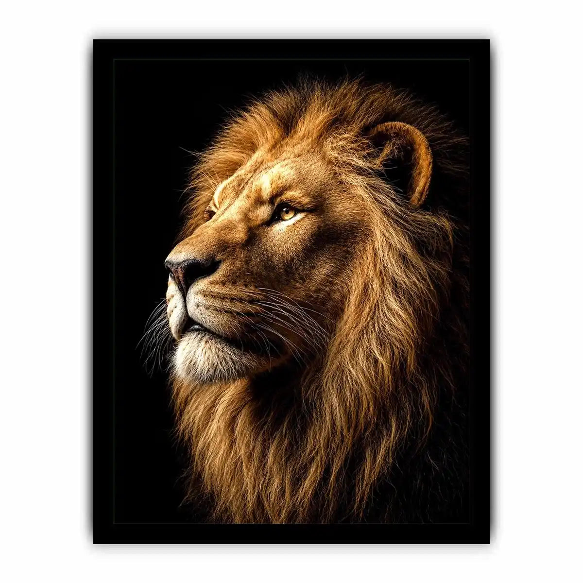   lion portrait canvas wall art office