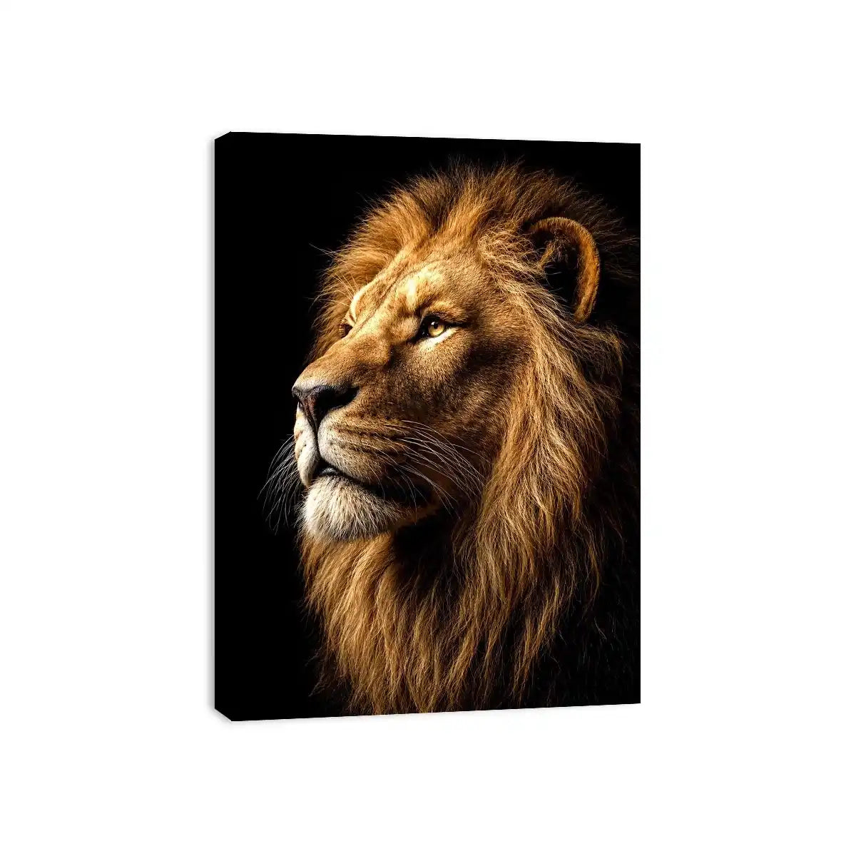   lion portrait canvas wall art office