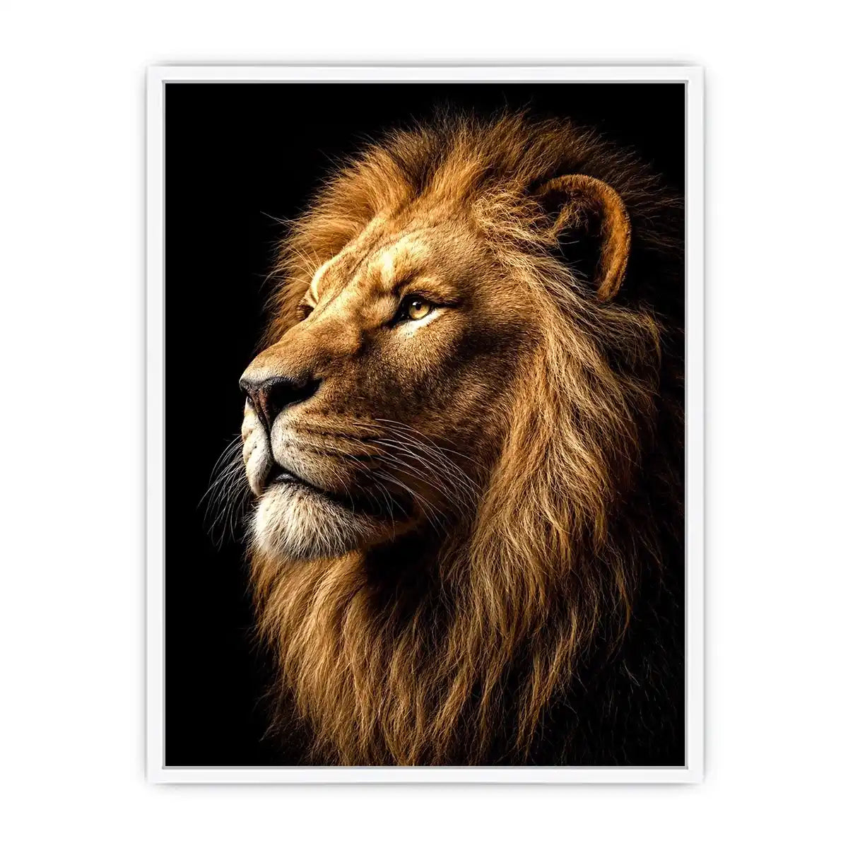   lion portrait canvas wall art office