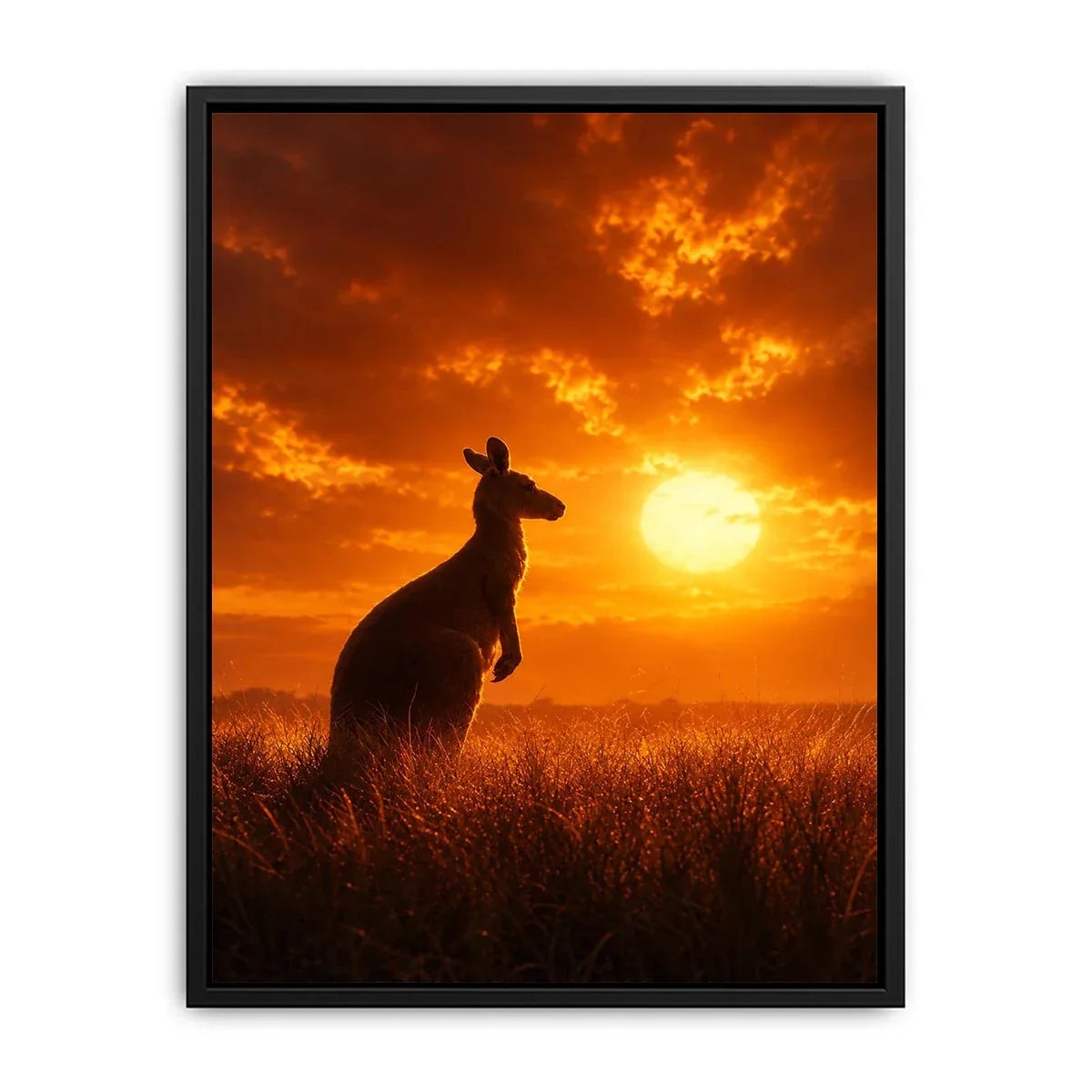   kangaroo sunset wildlife canvas print