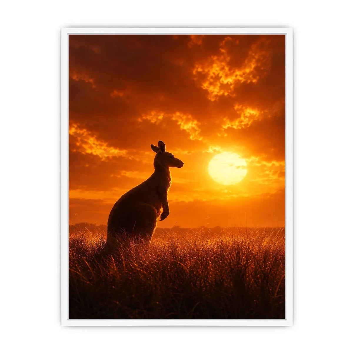   kangaroo sunset wildlife canvas print