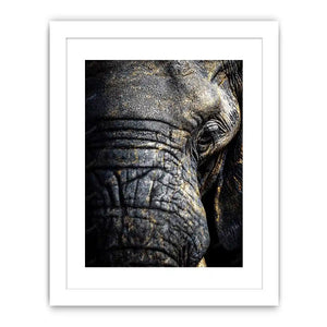   elephant portrait gold canvas art
