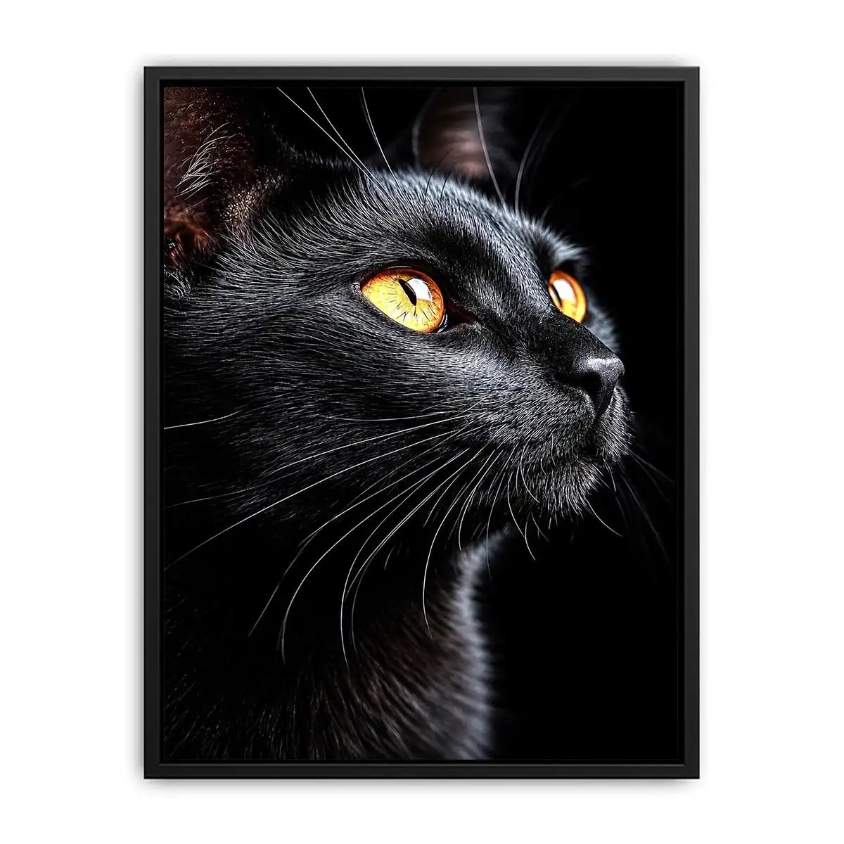   black cat portrait modern canvas print