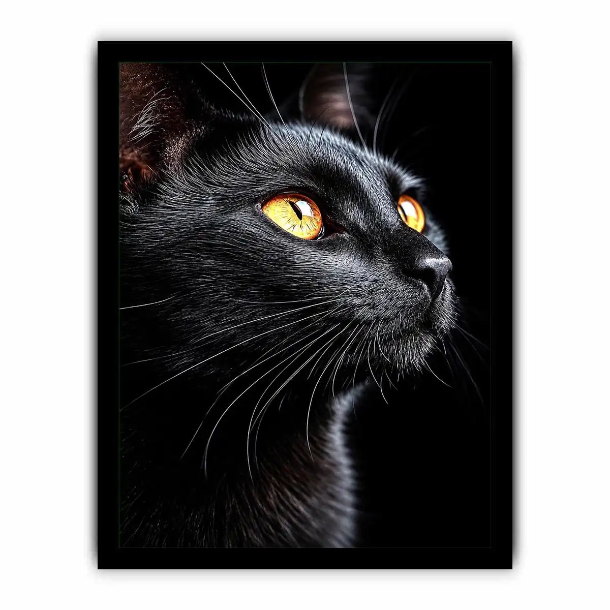   black cat portrait modern canvas print