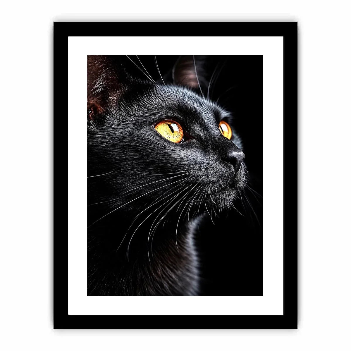   black cat portrait modern canvas print